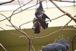 DSC_9116.JPG